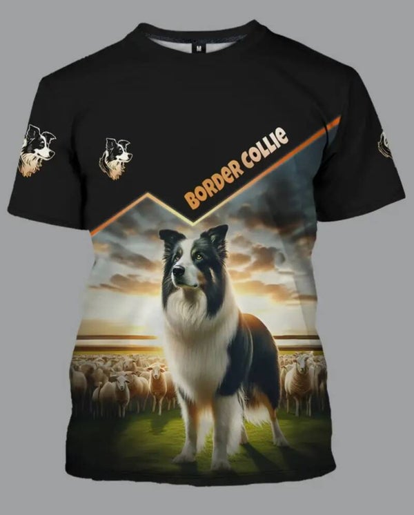 bordercollie bij de schapen