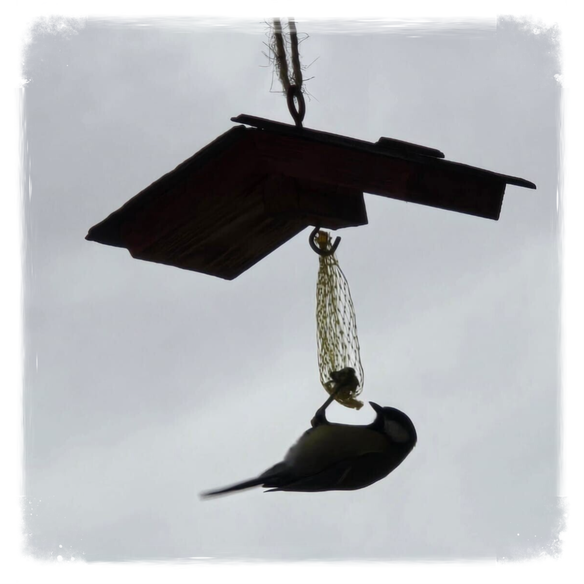 Upcycling " Flying Roof "