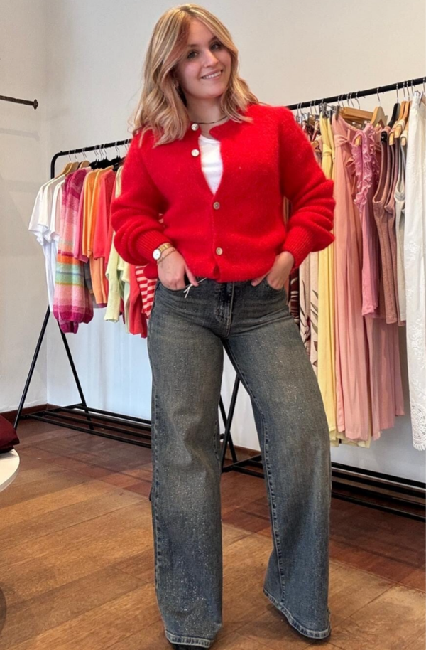 SARAH wide leg sequin jeans