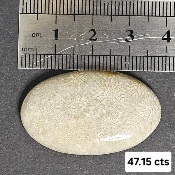 Cabochon Corail