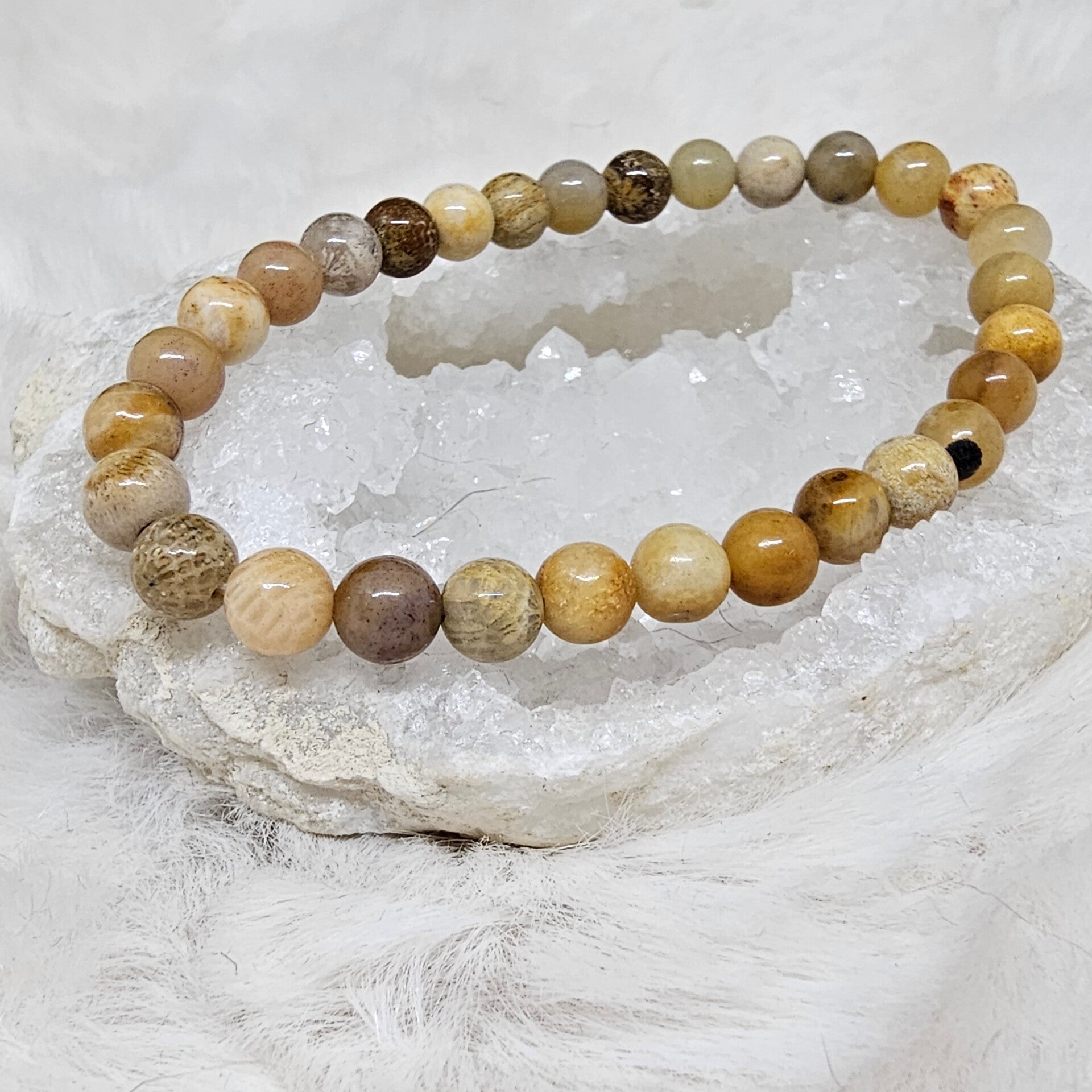 Bracelet Corail Fossile 6mm