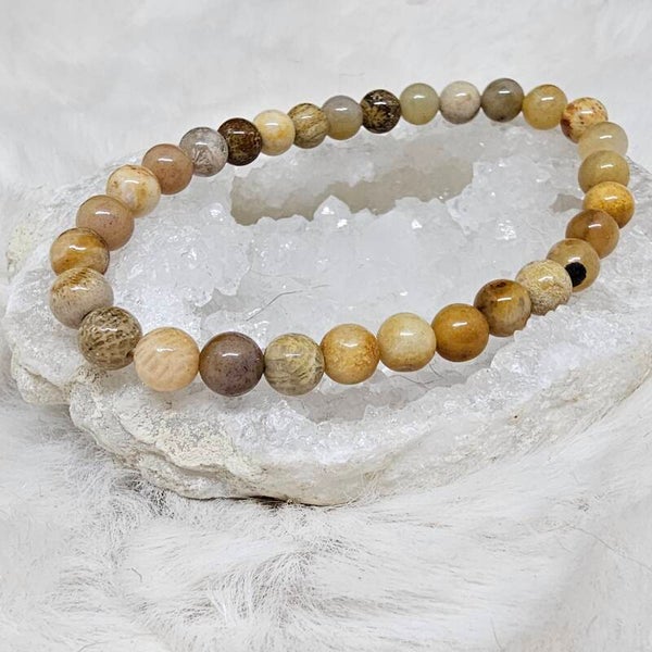 Bracelet Corail Fossile 6mm