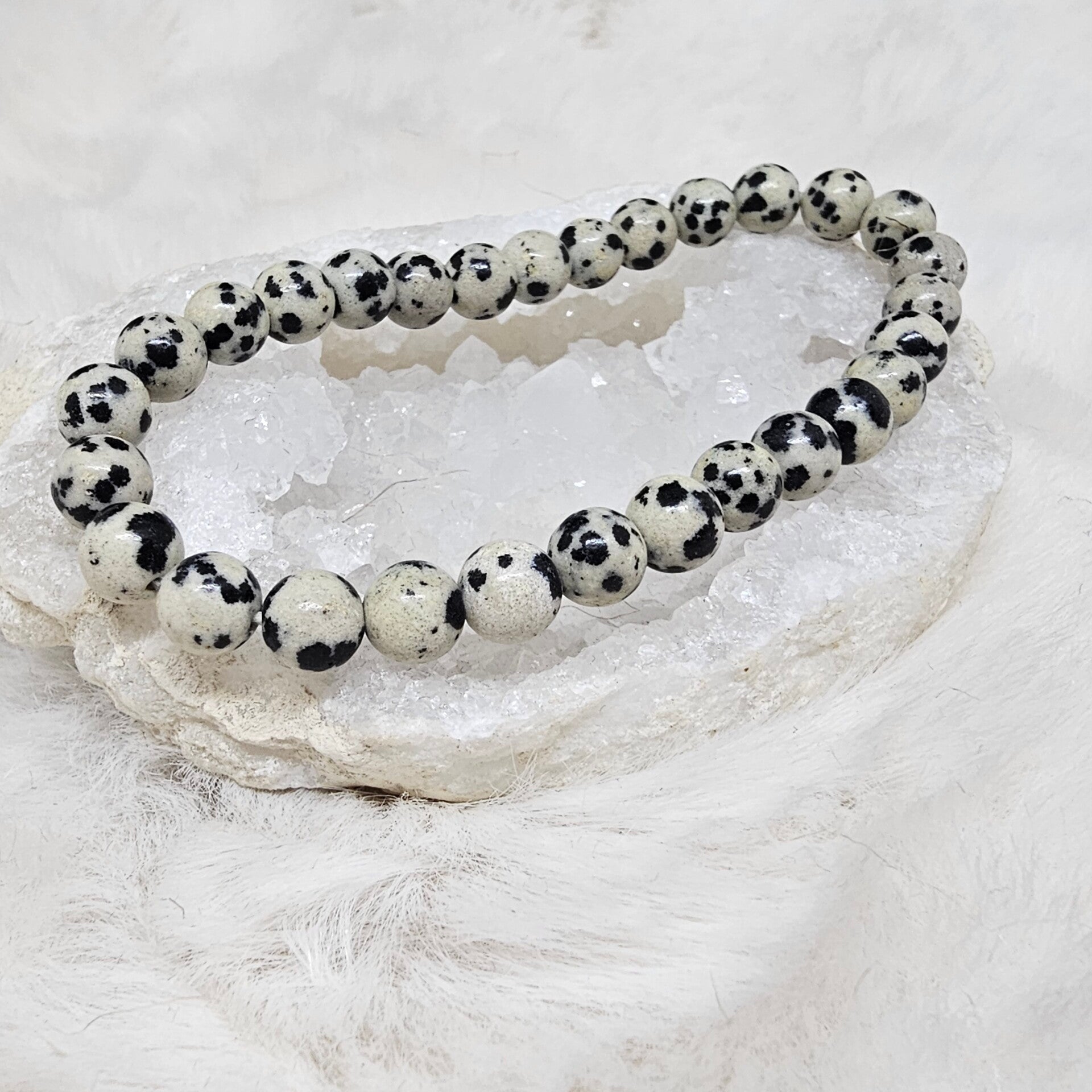 Bracelet Jaspe Dalmatien 6mm