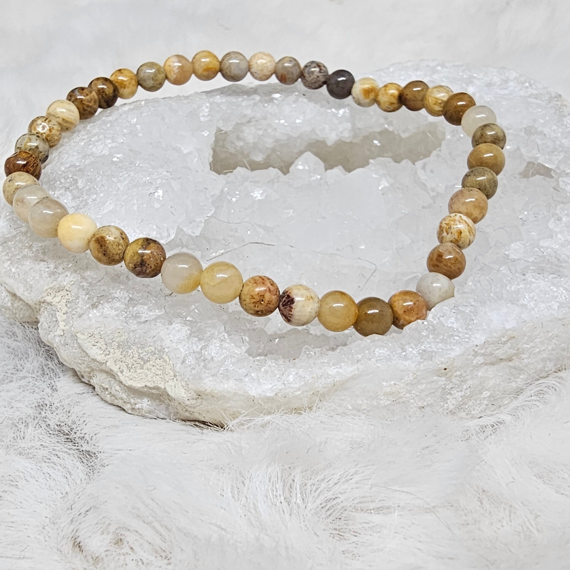Bracelet Corail Fossile 4mm