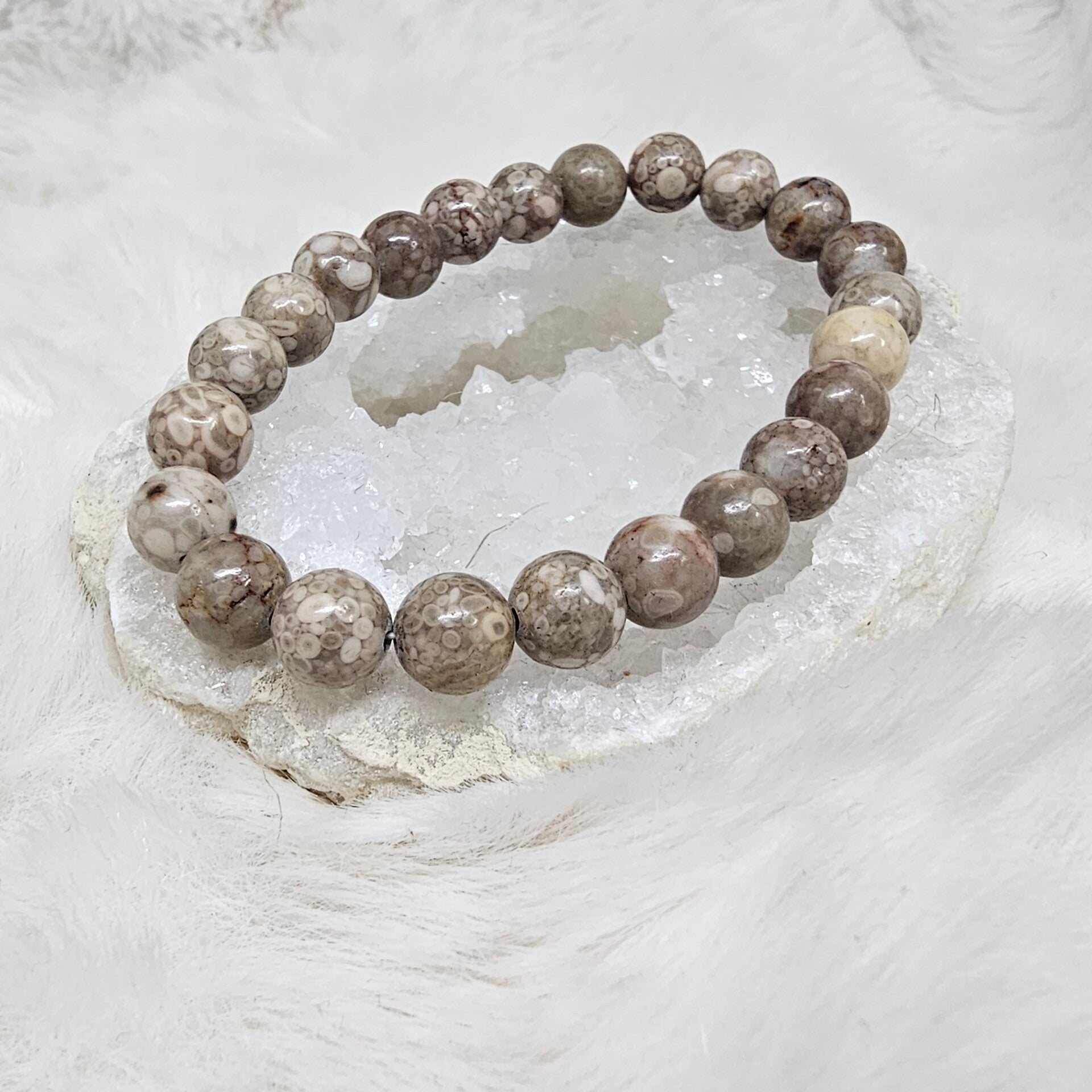 Bracelet Corail Fossile 8mm