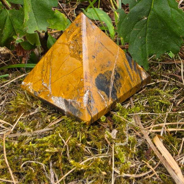 Pyramide Bois Fossile