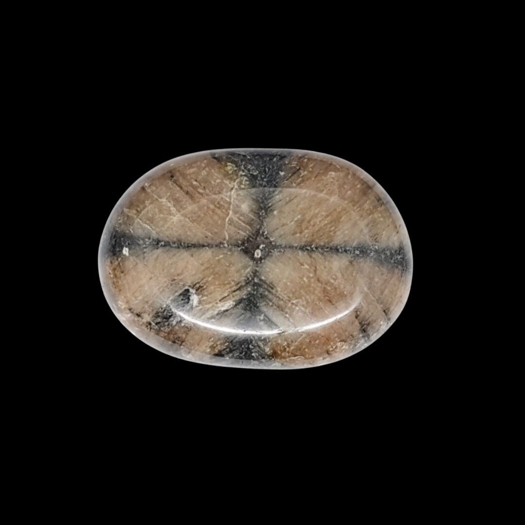 Chiastolite