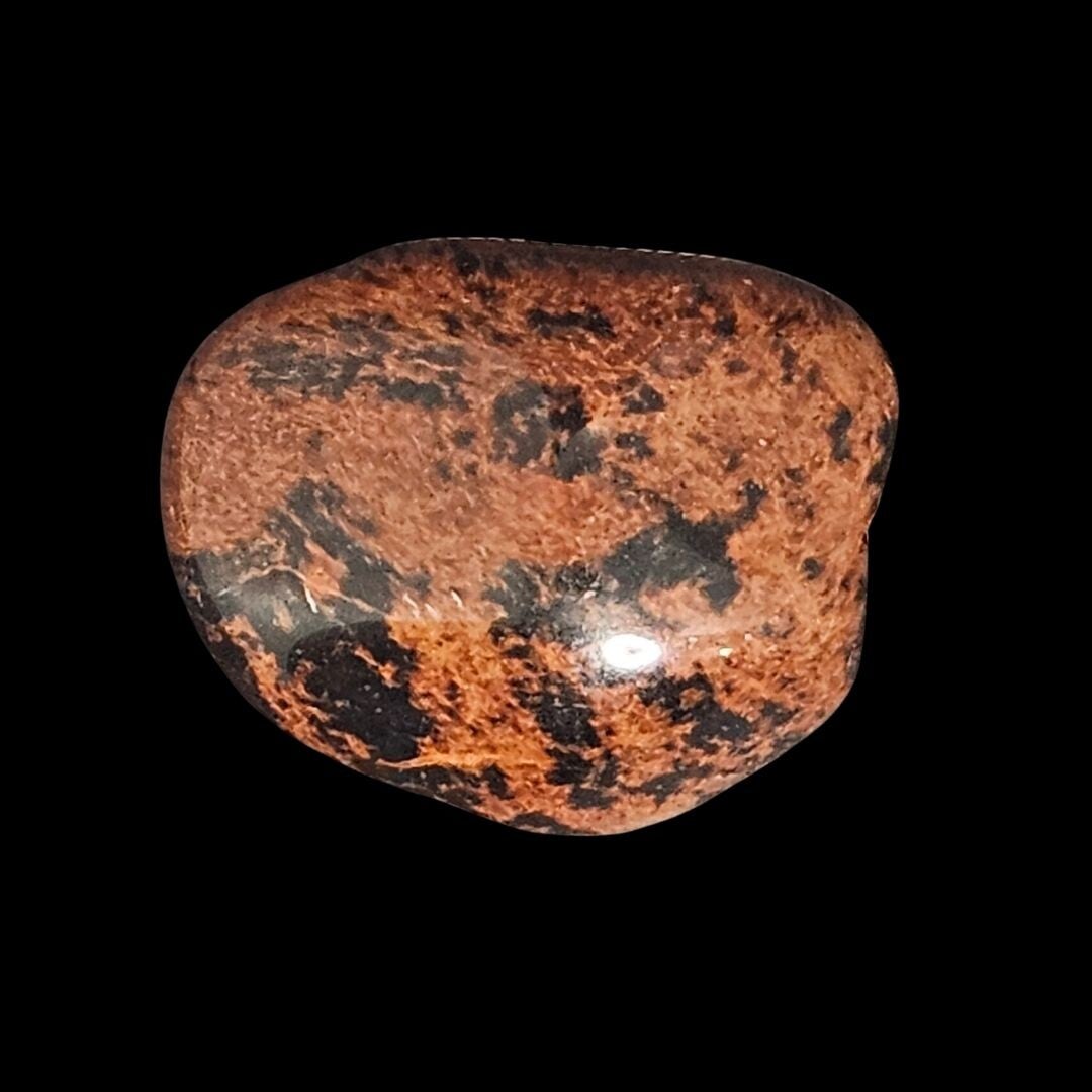 pbsidienne acajou