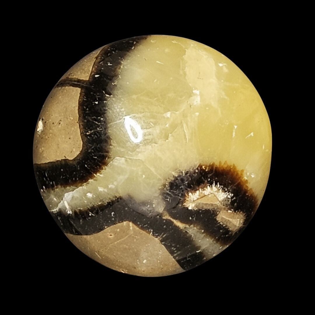 septaria