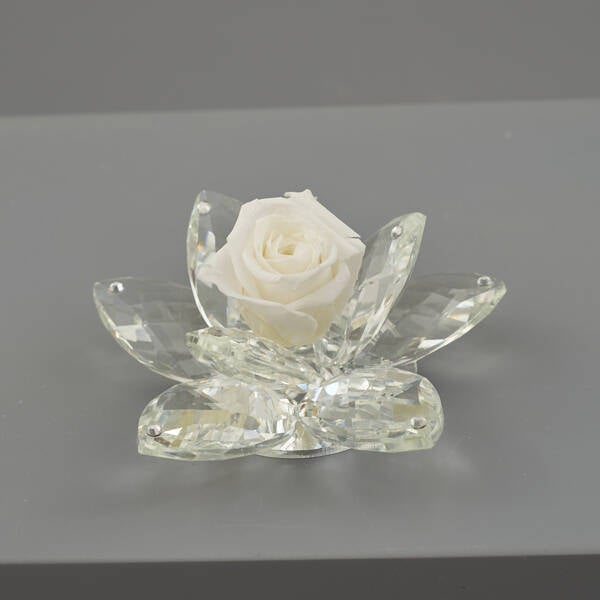 Fiore 8 petali