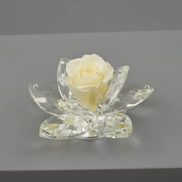 FIORE 8 PETALI PANNA