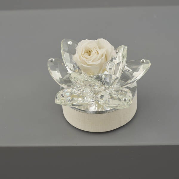 Fiore led