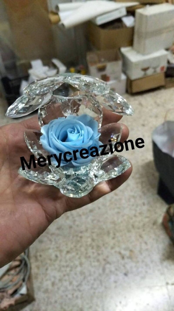 Conchiglia di rosa stebilizzata