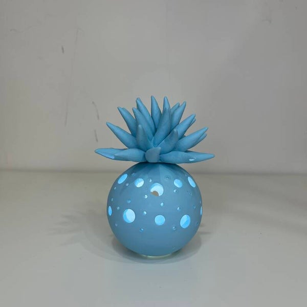 Lampada Con Riccio sopra