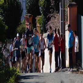 d-part-8-15-km-01-1-standard.jpg