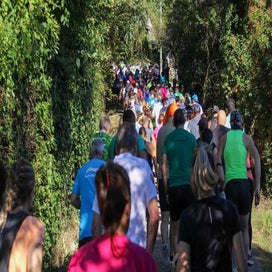 d-part-8-15-km-01-6-standard.jpg