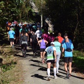 d-part-8-15-km-35-standard.jpg