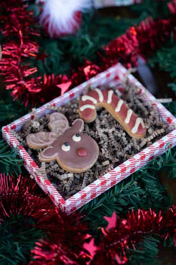 MiniXMas Box - Weihnachtliche Hundekekse
