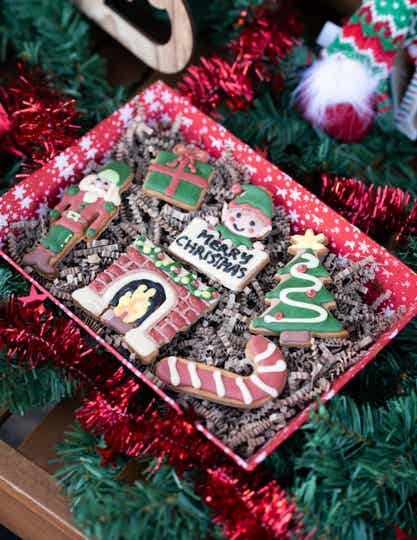 The Bark-Mas Box - Weihnachtliche Hundekekse