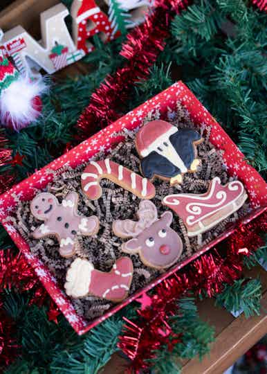 The Bark'n Sleigh Box - Weihnachtliche Hundekekse