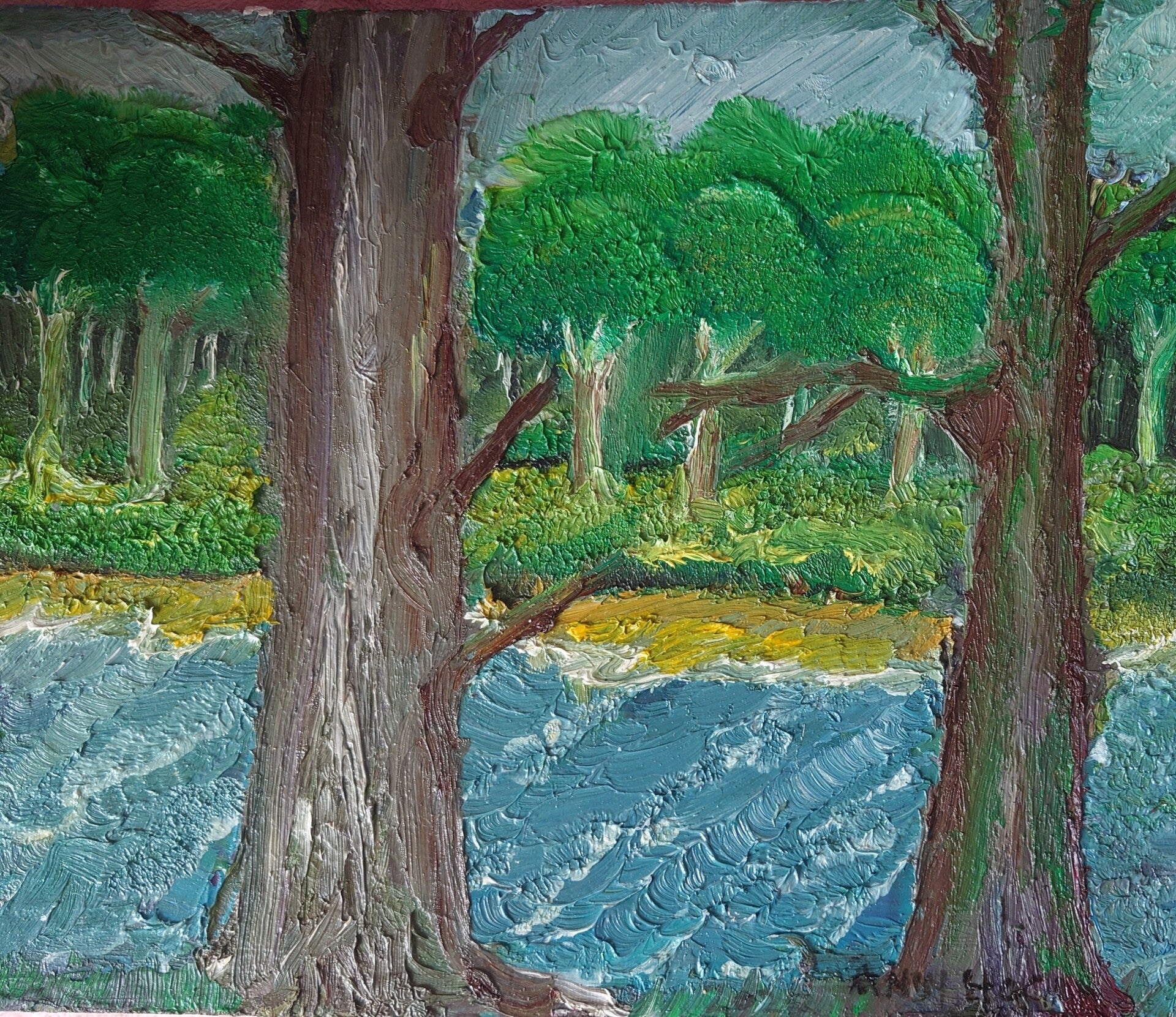 Trees over the river