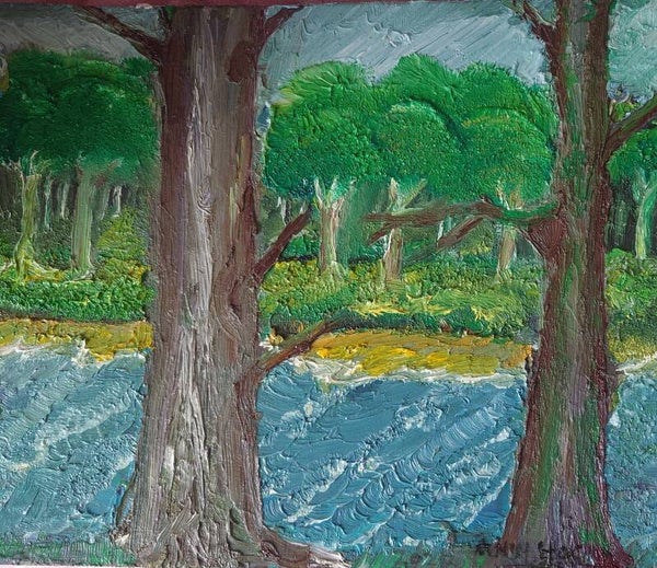Trees over the river