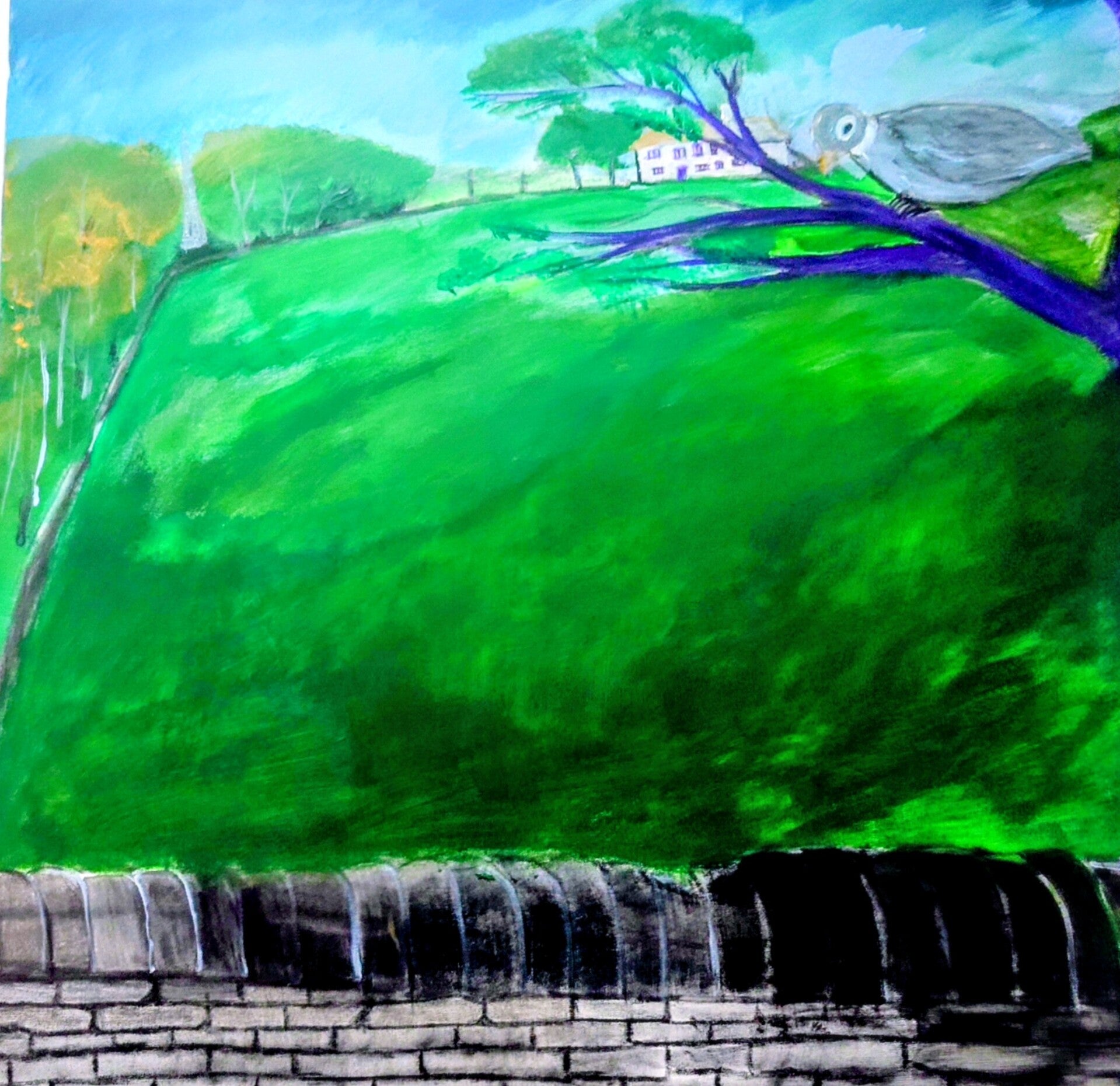 View from the country cottage