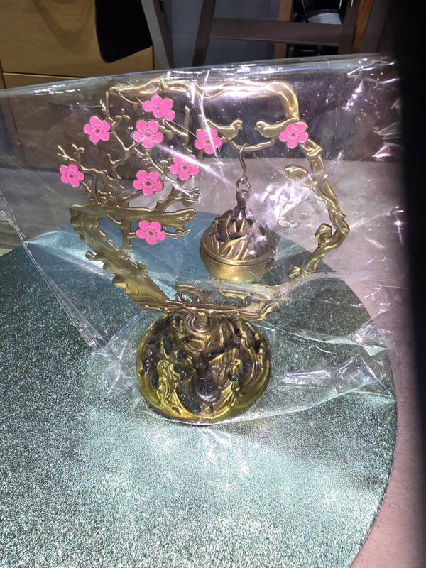 Bonsai 2 Kirsche