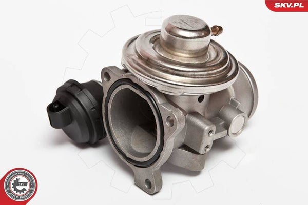 Vanne Egr Audi A4 A6 1.9 TDI