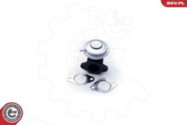 Vanne Egr Audi A4 A6 A8 Allroad 2.5 TDI