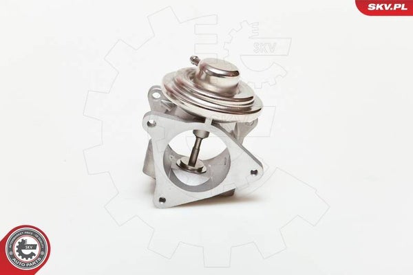 Vanne Egr Seat Altea Leon Cordoba Ibiza Toledo 1.9 TDI 2.0 TDI