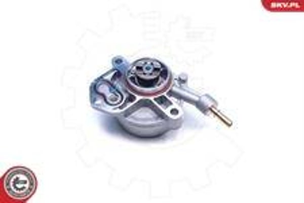 Pompe à vide Fiat Scudo 2.0 JTD Ulysse 2.0 JTD 2.2 JTD