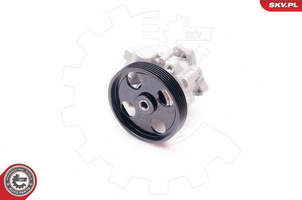 Pompe de direction assistée Peugeot 406 1.9 D