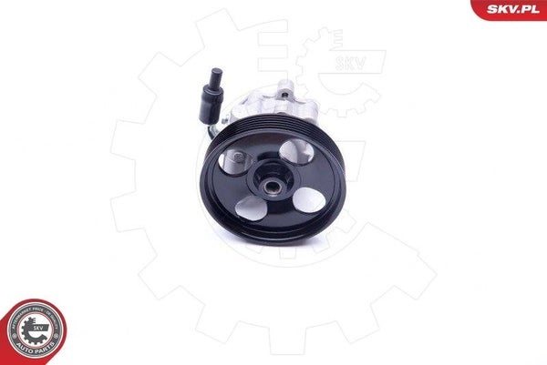 Pompe de direction assistée Ford Fiesta V et Fusion 1.4 TDCi
