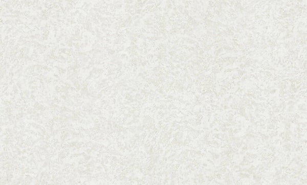 Roberto Cavalli 19052