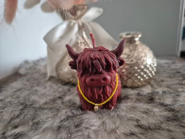 Schotse hooglanders sierkaars
