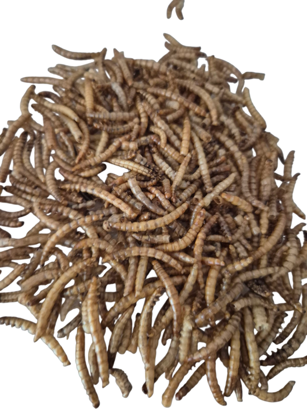 Gedroogde meelwormen