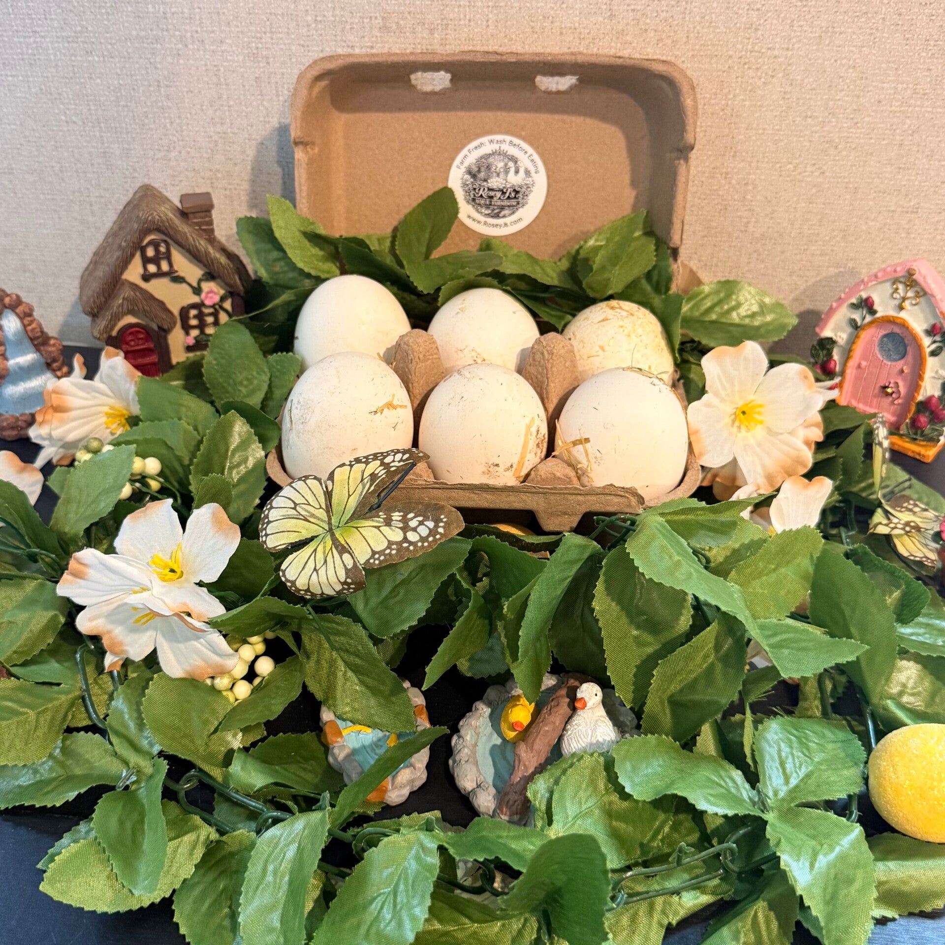 1/2 Dozen Goose Eggs