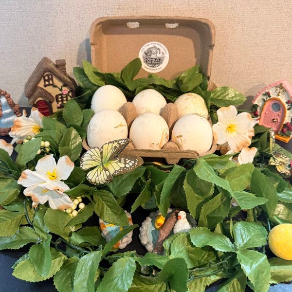 1/2 Dozen Goose Eggs