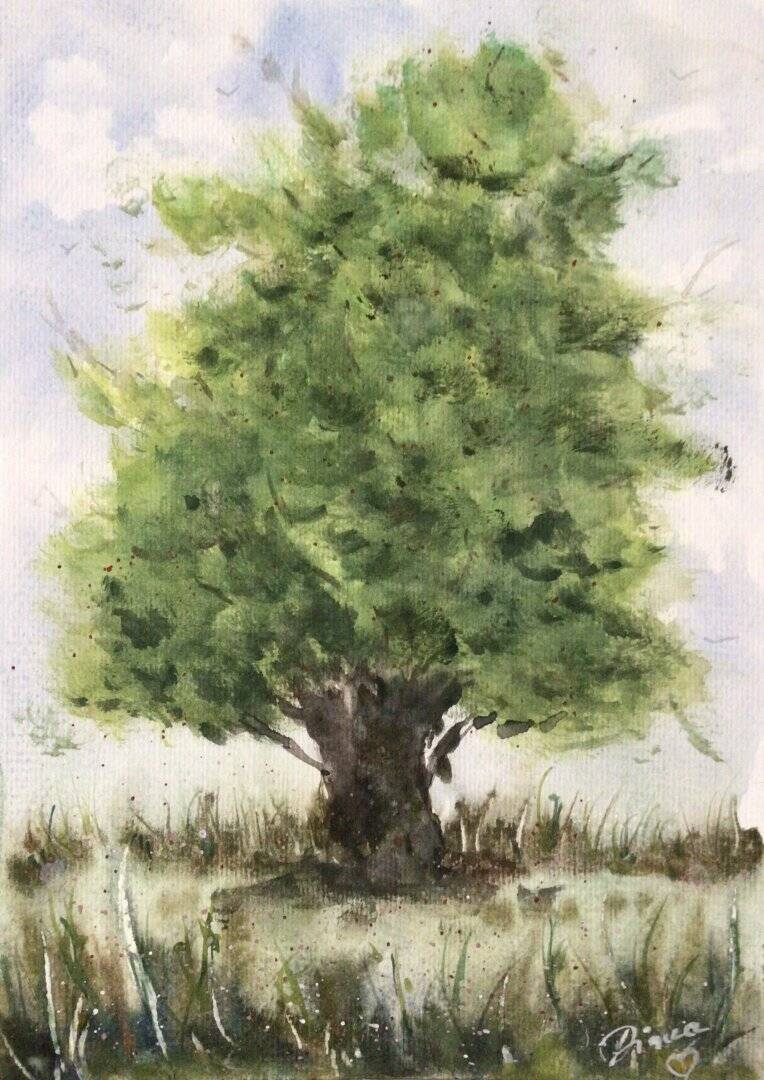 baum-standard.jpg