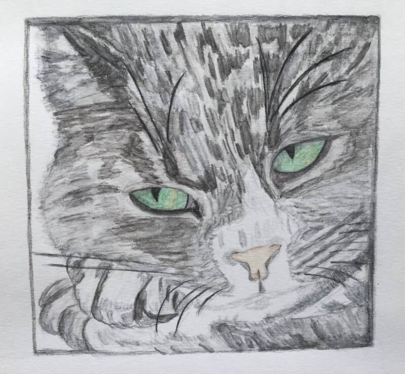 cat-paul_katze-paul_dianasskylight-standard.jpg