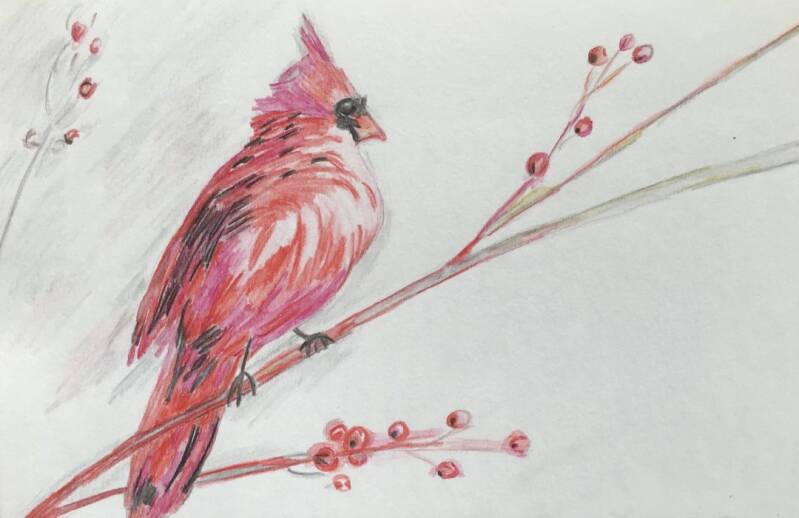 crimson-bird-in-the-winter-snow_roter-vogel-im-winter_dianasskylight-standard-z46gi2.jpg