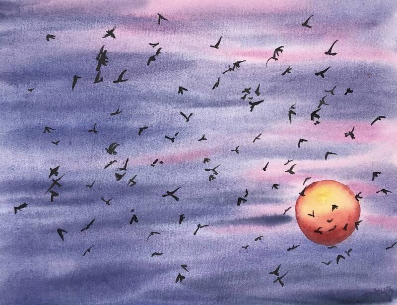 nester-im-haupt-bauen_v-gel-sonnenhimmel-standard.jpg