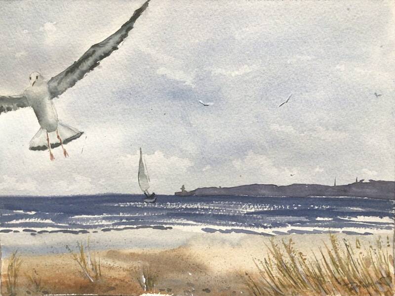 seagull-by-the-seaside_m-ve-am-meeresstrand_dianasskylight-standard-wq4ac1.jpg