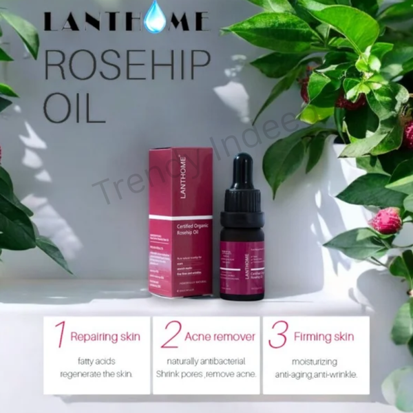 Lanthome Rosehip Oil for Scars, Stretch Marks, Wrinkles & Fine Lines – Certified Organic Solution