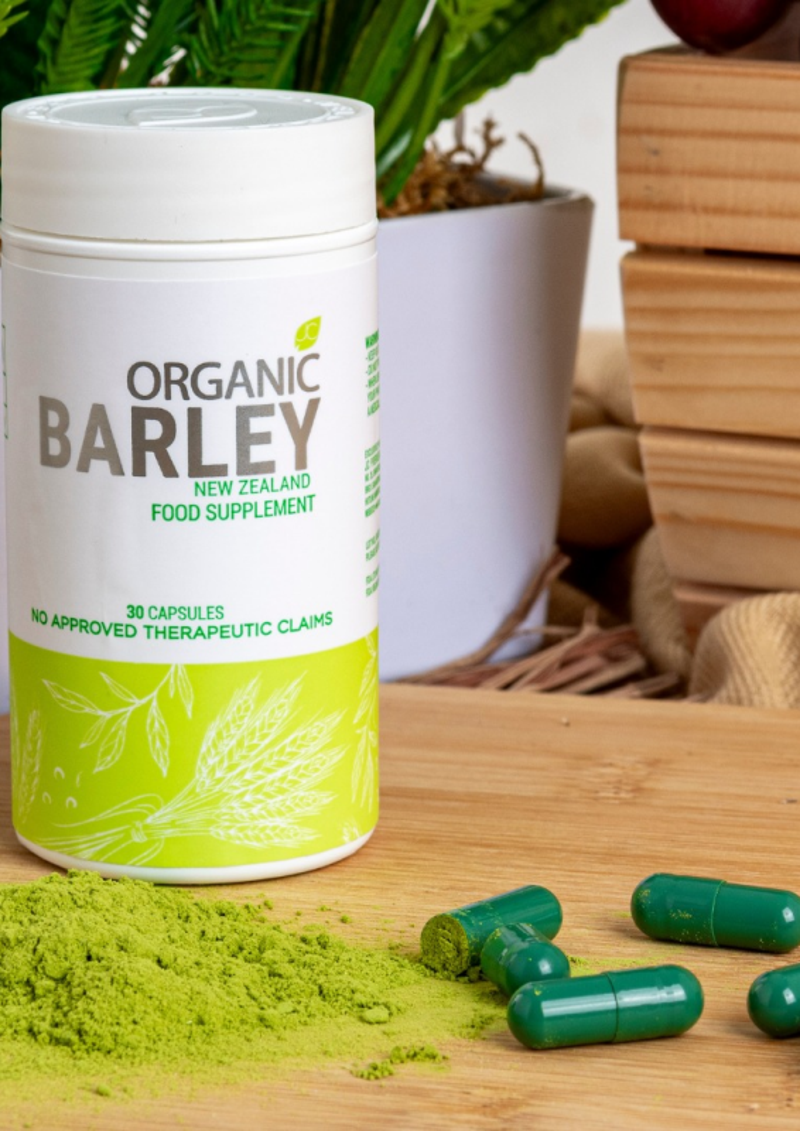 Bright green barley field background for health guide on barley products and wellness