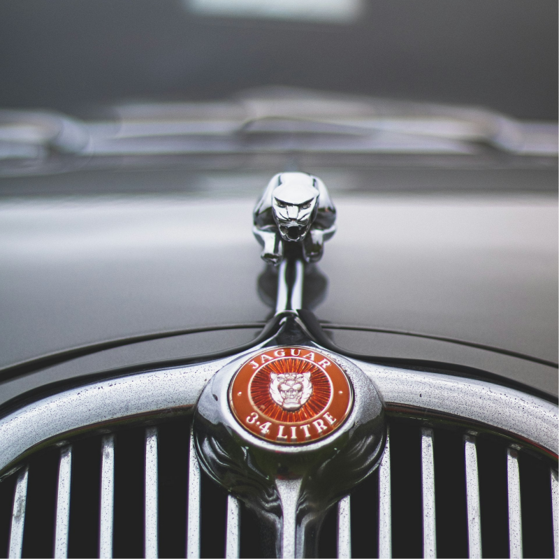 Explorez notre gamme exclusive de pièces conçues spécialement pour les passionnés de voitures de collection et de Youngtimer Jaguar. De l'intérieur à l'extérieur, en passant par le compartiment moteur, nous offrons une sélection minutieusement fabriquée p