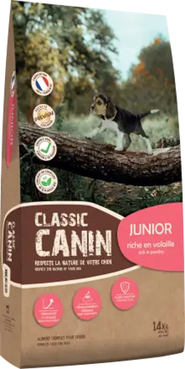 Classic Canin Junior