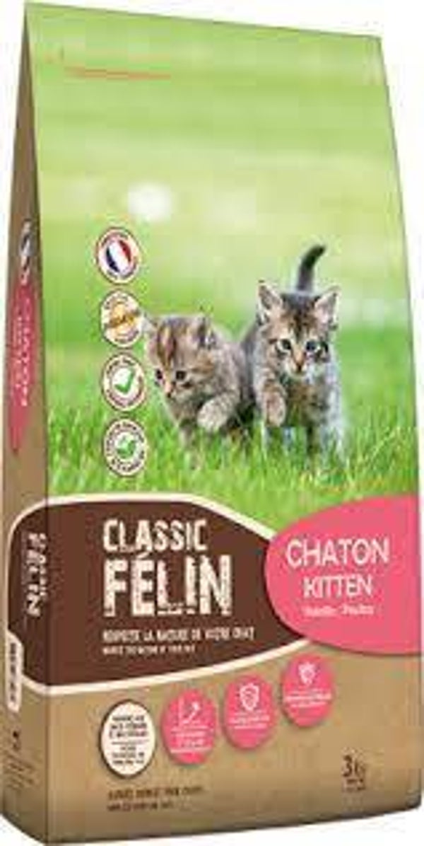 Classic félin chaton