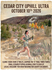 CedarCityUphillUltra